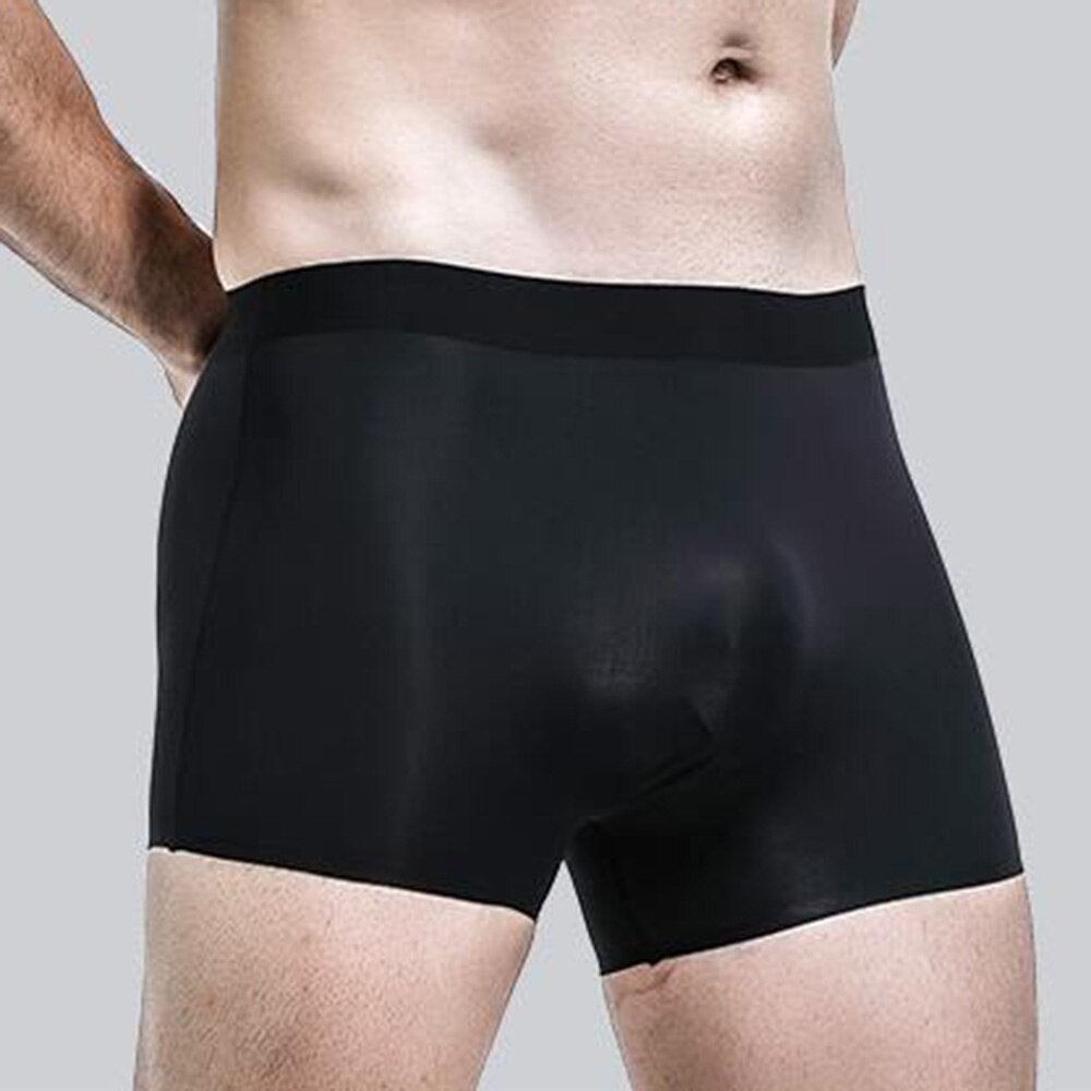 Men Translucent  Boxer Briefs Panties Underwear