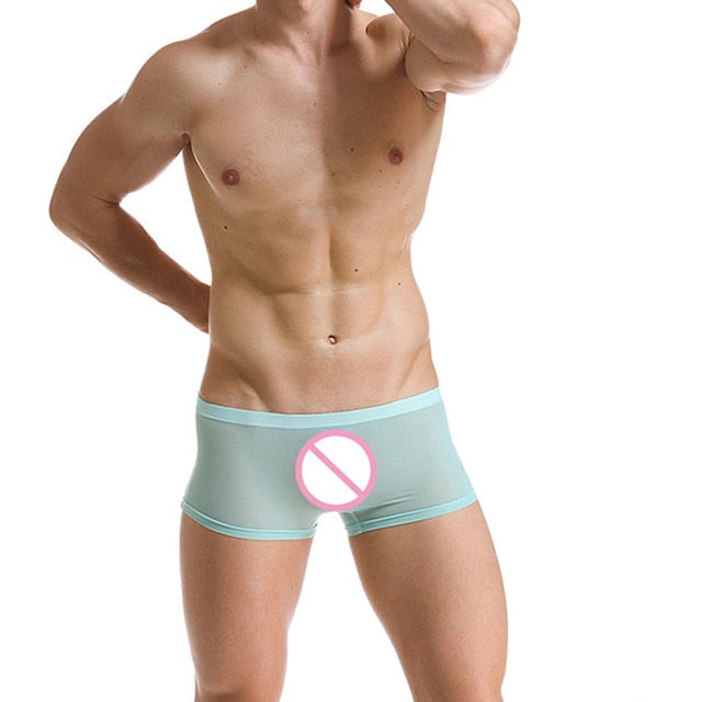 Sexy Male Boxer Shorts Super Thin Translucent underwear