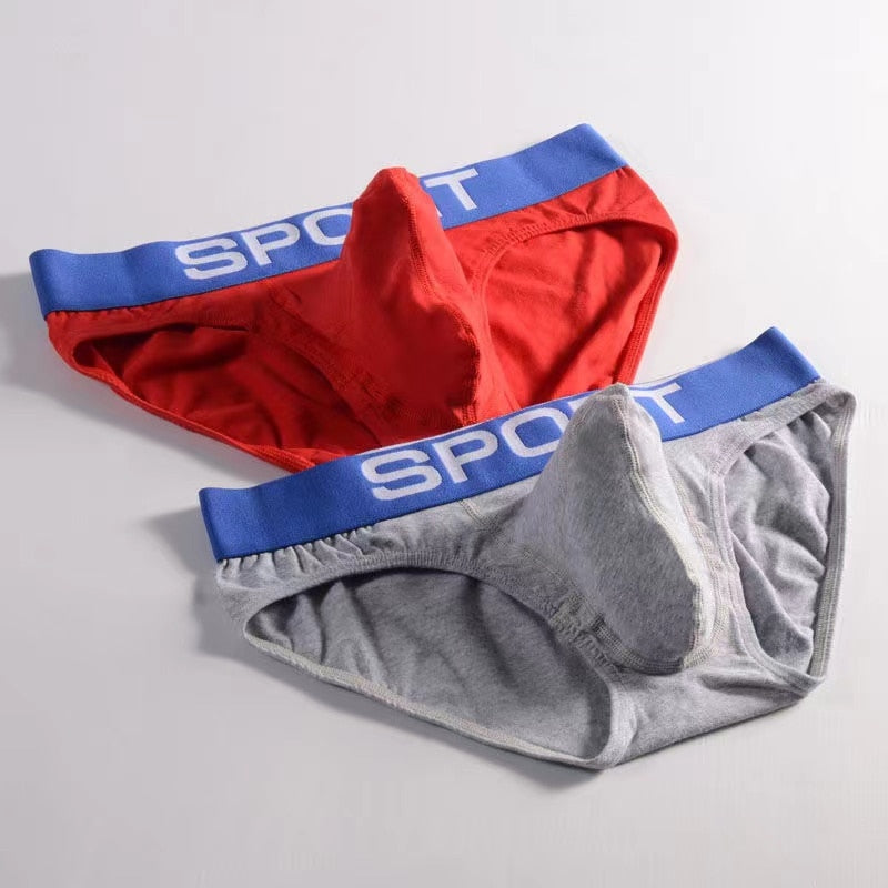 Male Sexy Cotton Briefs Underwear