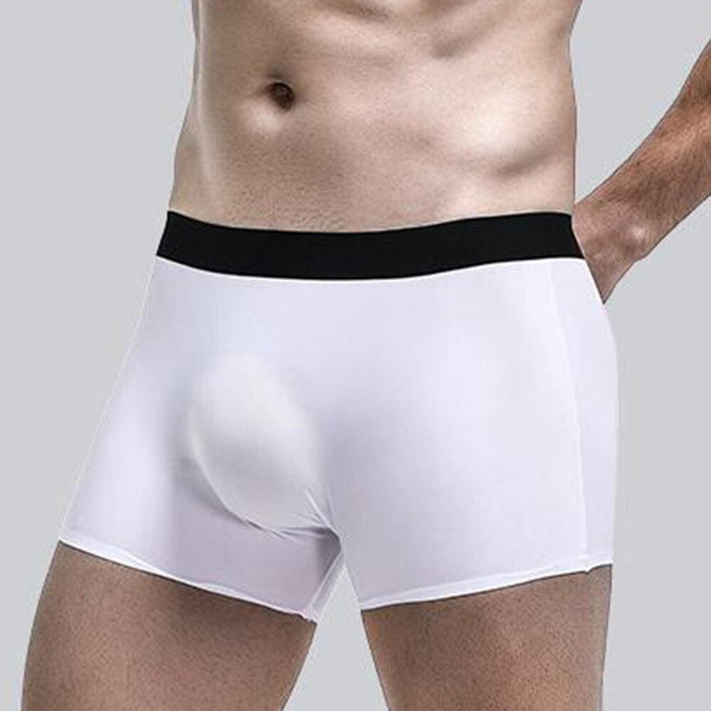 Men Translucent  Boxer Briefs Panties Underwear