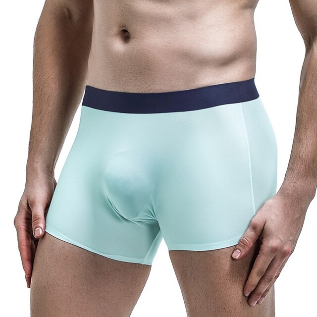 Men Translucent  Boxer Briefs Panties Underwear