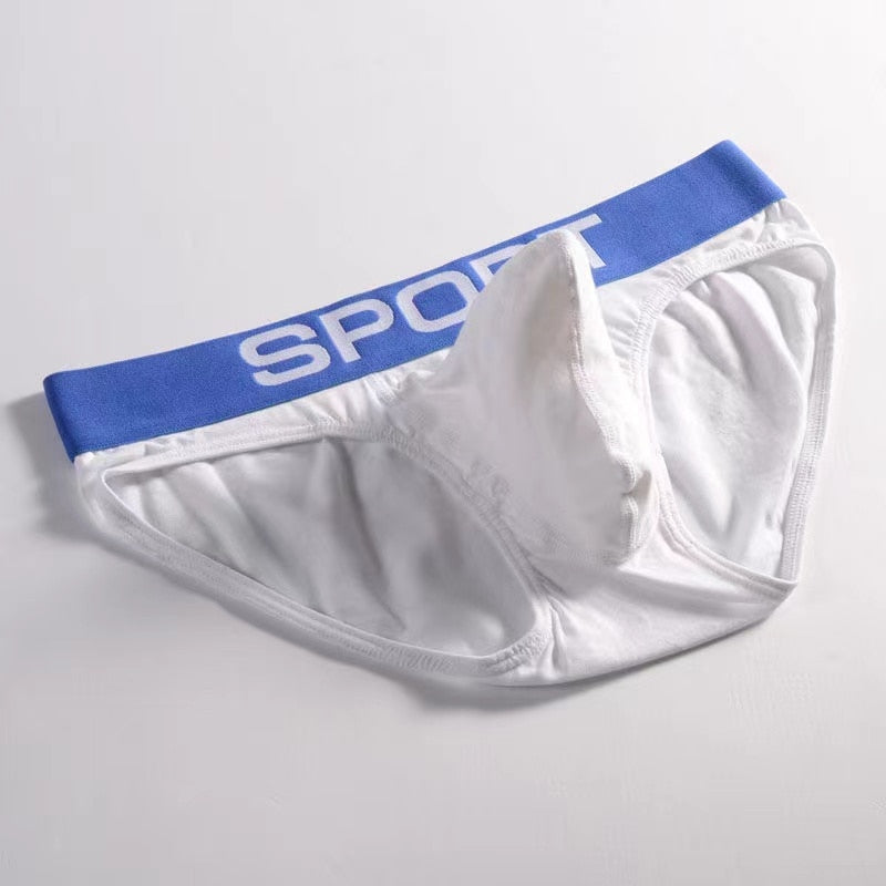 Male Sexy Cotton Briefs Underwear