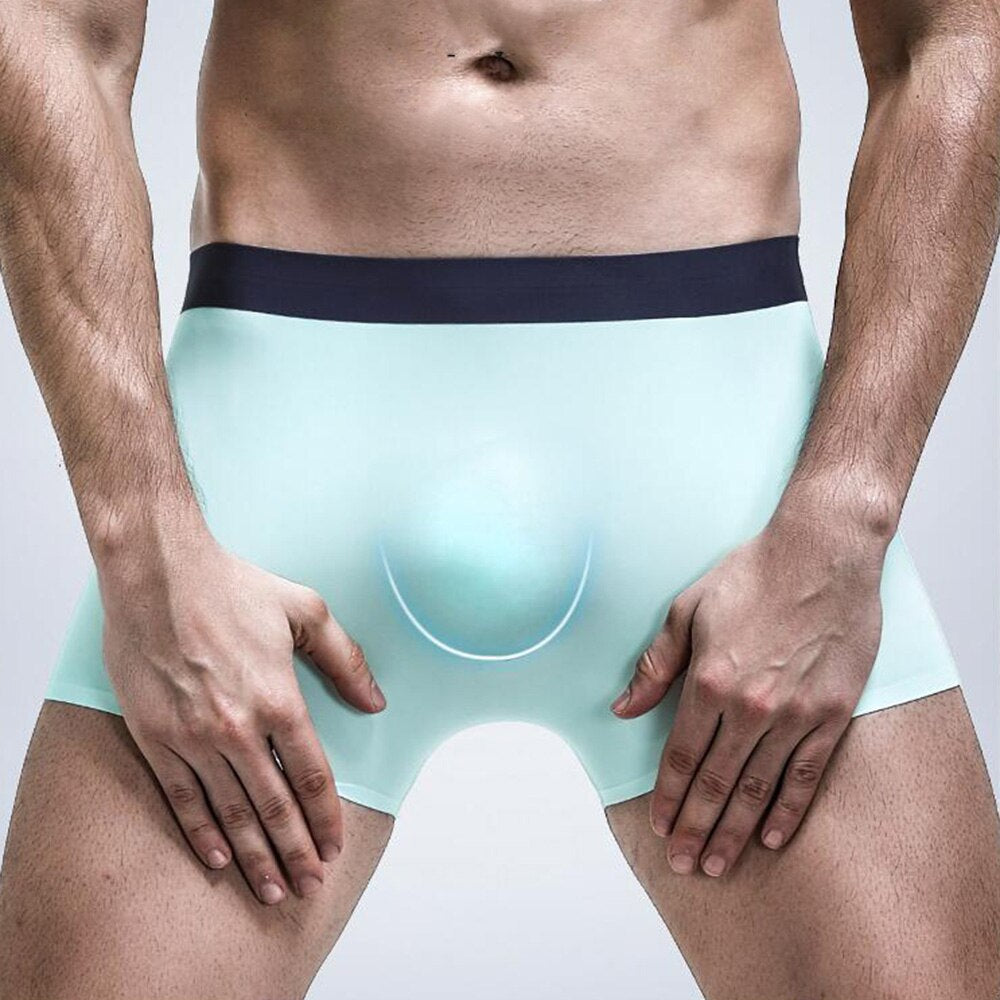 Men Translucent  Boxer Briefs Panties Underwear