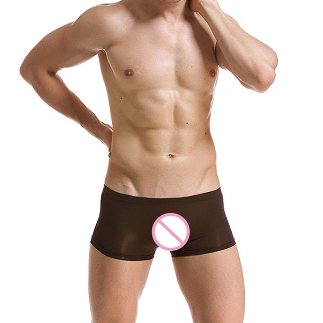 Sexy Male Boxer Shorts Super Thin Translucent underwear