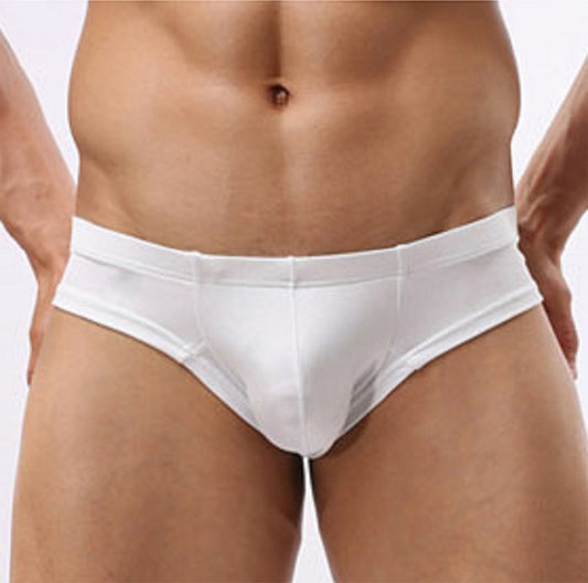 Men Boxer Briefs Shorts Underwear