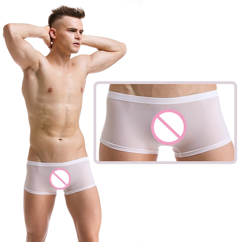 Sexy Male Boxer Shorts Super Thin Translucent underwear