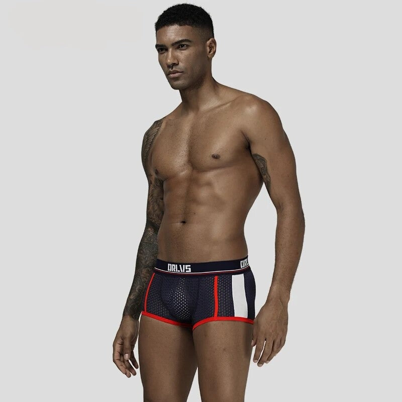 Men Raised Pouch Boxer Briefs Mesh Underwear