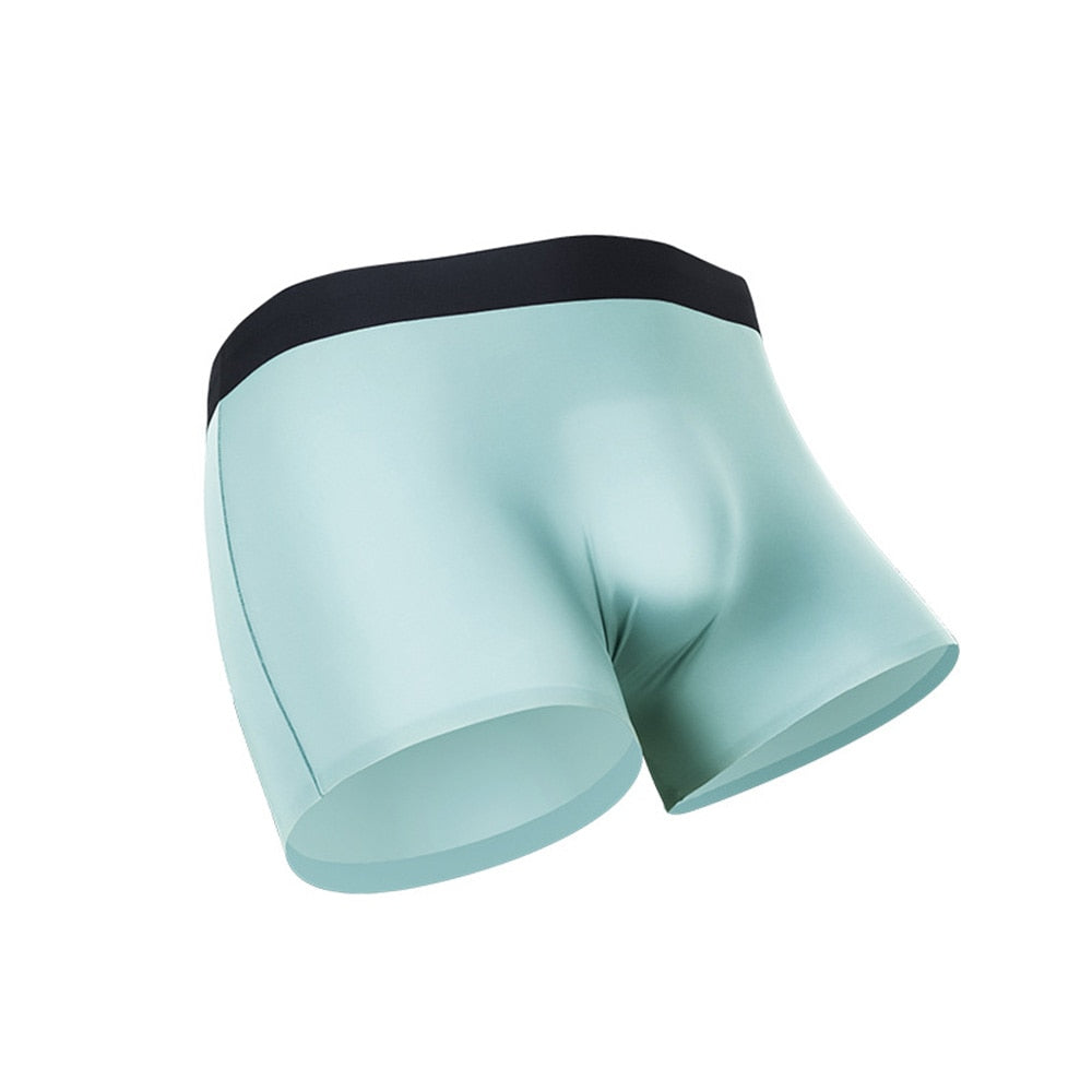 Men Translucent  Boxer Briefs Panties Underwear