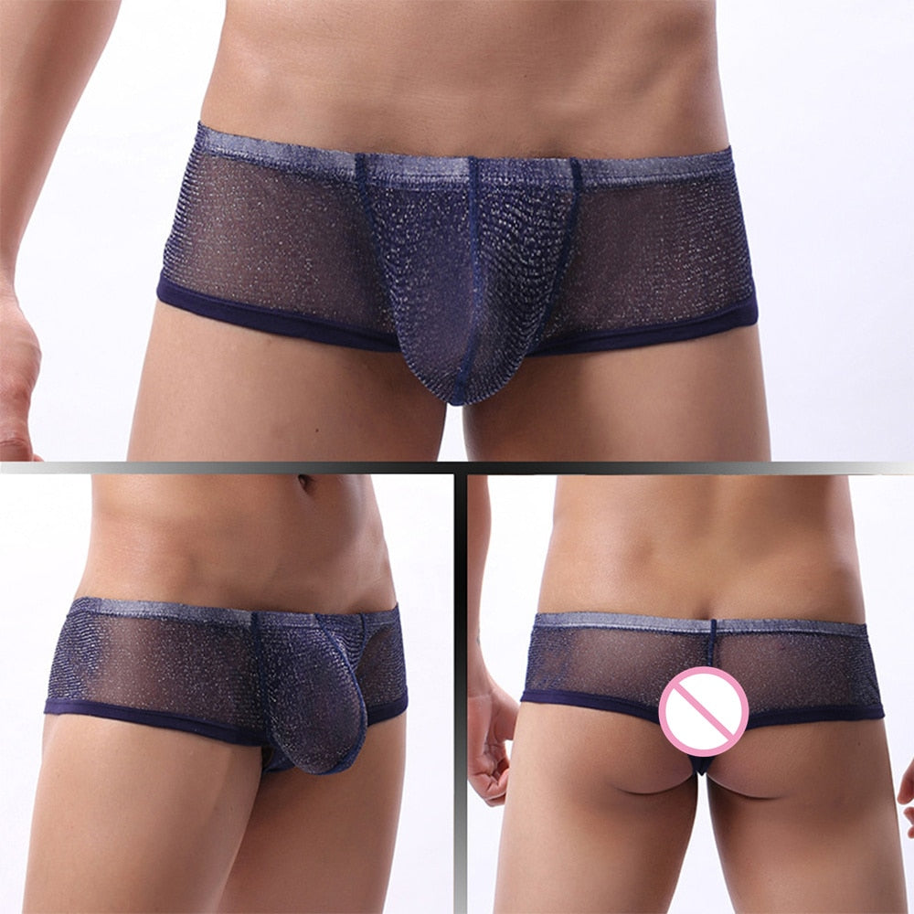 Sexy Ultra Thin Mesh Boxer Brief Underwear for Men