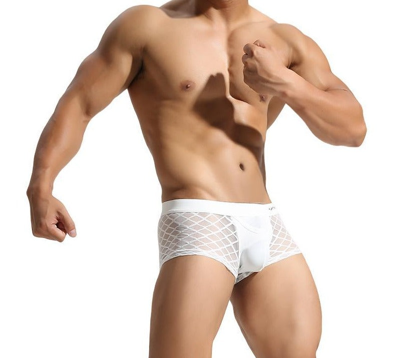 Sexy Men's Lace Boxer Briefs U Convex Pouch Open