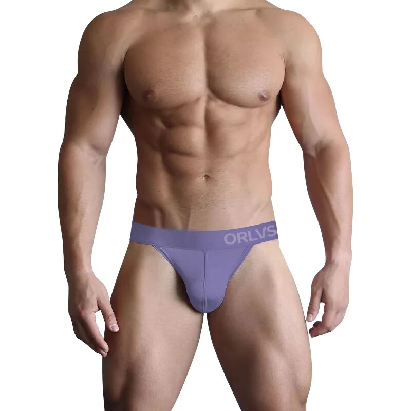 Sexy Men Slip Briefs Underwear Raised Pouch