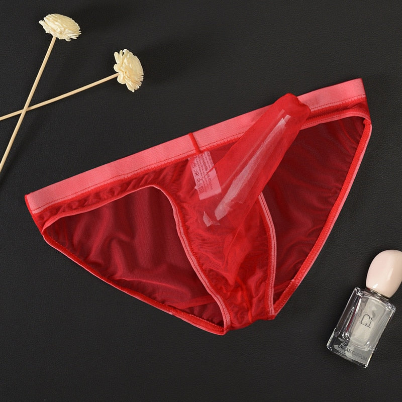 Men's Sexy Elephant Nose Translucent Briefs underwear – Underwear
