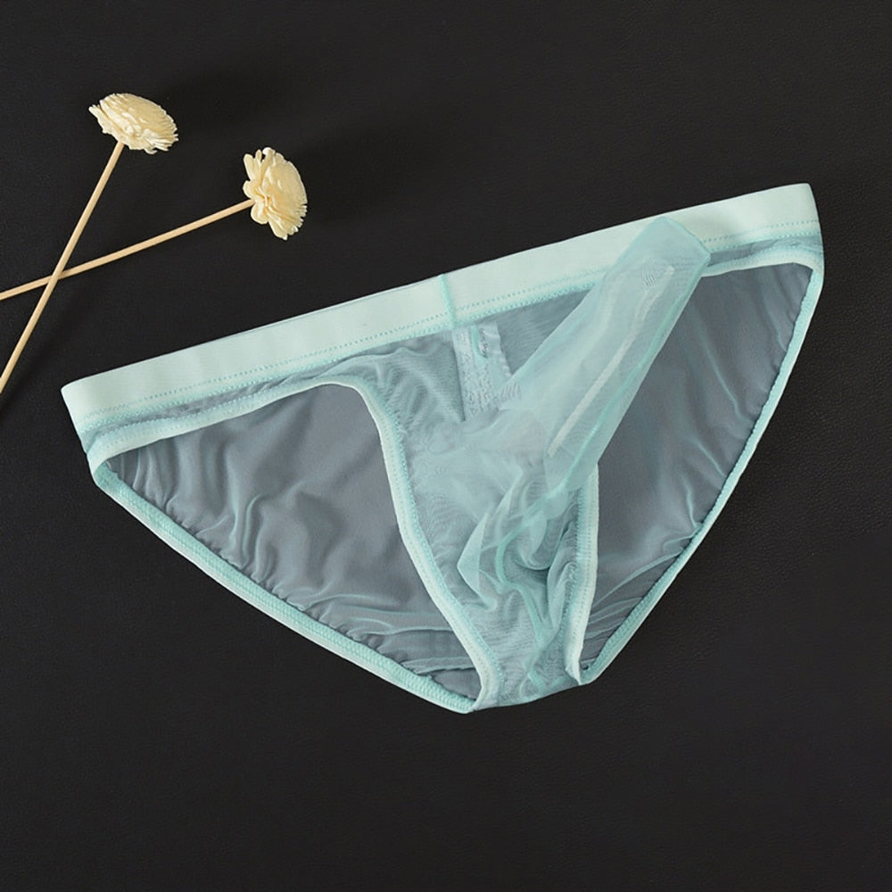 Men's Sexy Elephant Nose Translucent Briefs underwear – Underwear