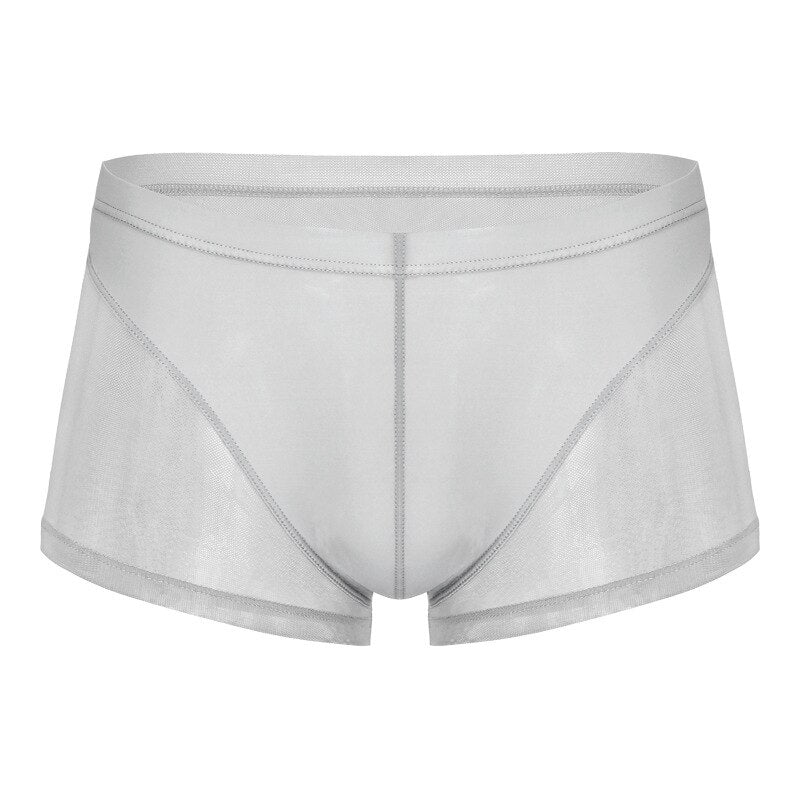 Men Boxer Briefs Translucent Mesh Underwear