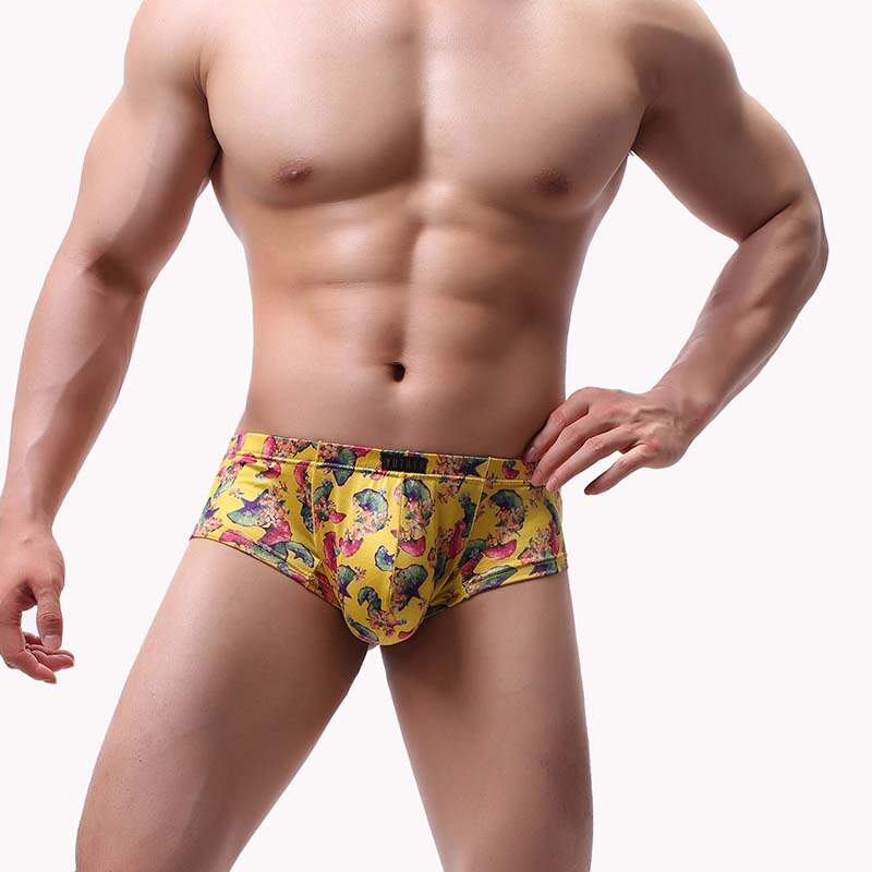 Men's Briefs Colors Underwear