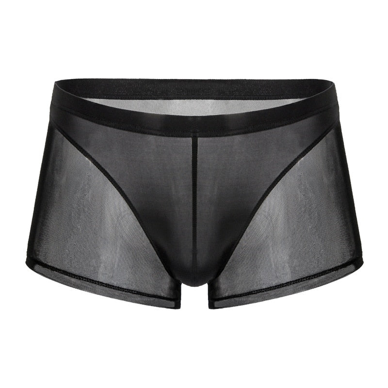 Men Boxer Briefs Translucent Mesh Underwear