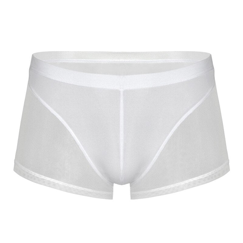 Men Boxer Briefs Translucent Mesh Underwear