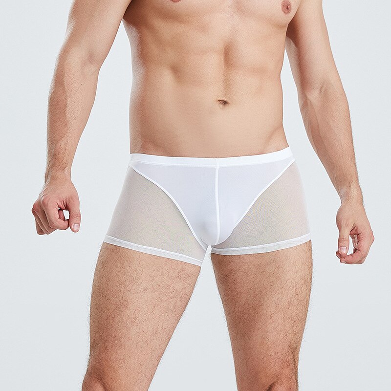 Men Boxer Briefs Translucent Mesh Underwear