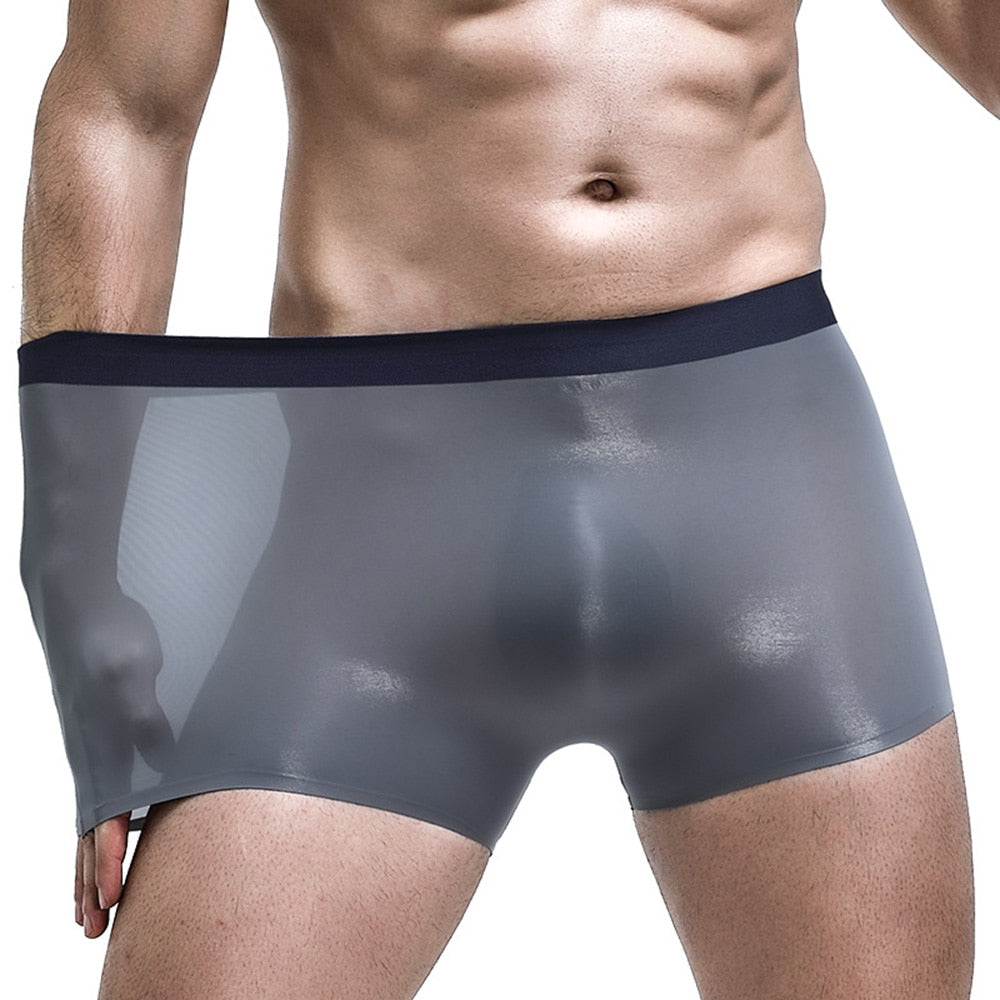 Men Translucent  Boxer Briefs Panties Underwear