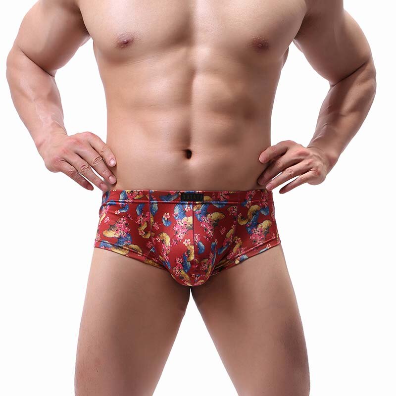 Men's Briefs Colors Underwear