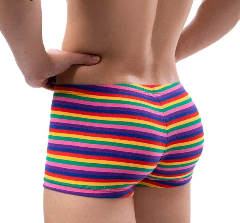 Men Striped Boxer Briefs Underwear