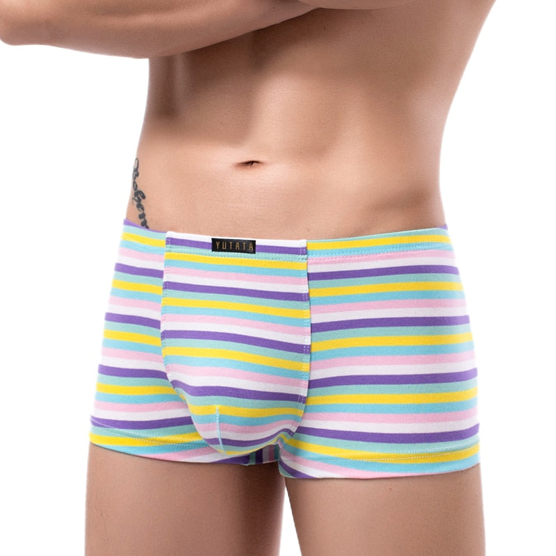 Men Striped Boxer Briefs Underwear