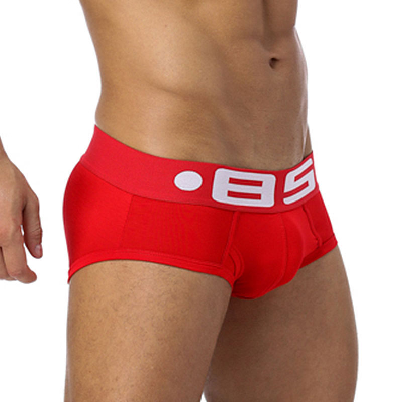 Men's Briefs Underwear